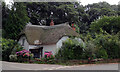 Thatched cottage, Slade Lane, Lower Roadwater