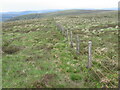 NT0025 : Fence towards Duncangill Head by Chris Wimbush