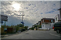 Ventnor : Steephill Down Road