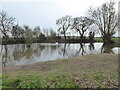 Pond in fields