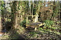 Small footbridge over stream in woods