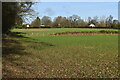 Fields south of Ryedown Lane