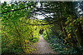 Luccombe : Footpath