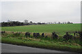 Farmland near Culham