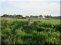 Maisondieu Trig Pillar