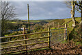 Ilfracombe : Muddy Field