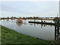 TL2799 : High water at Dog in a Doublet sluice - The Nene Washes by Richard Humphrey