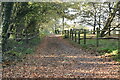 Footpath off Barden Rd