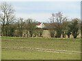 View through the hedge to a distant farmhouse