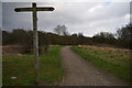 SP0694 : To the lake - Queslett, West Midlands by Martin Richard Phelan