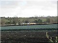 Leek Field next to Sewage Works