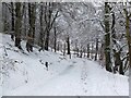 NT2540 : Snowy track on Ven Law, Peebles (2) by Jim Barton