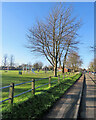 Sawston: Mill Lane Recreation Ground