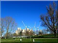 Cranes at Kidbrooke Village