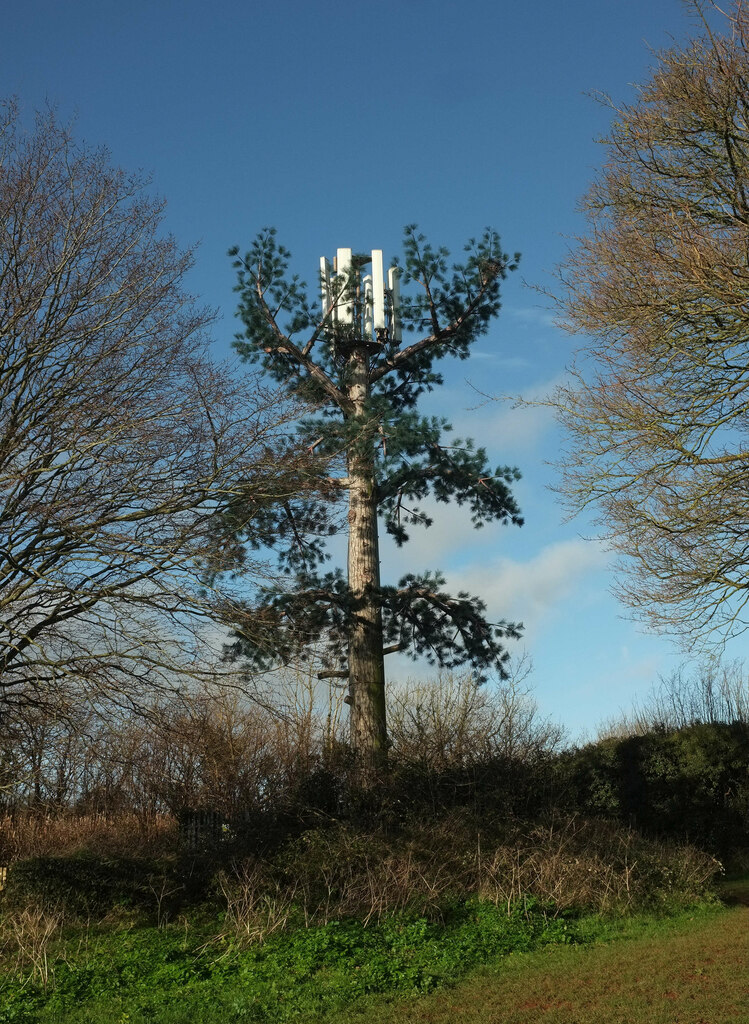 Mobile Phone mast, Armada Park, Torquay © Derek Harper :: Geograph ...