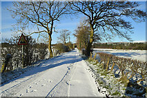 H5173 : Snow, Killycurragh Road by Kenneth  Allen