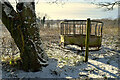 H5173 : Rusty animal feeder, Killycurragh by Kenneth  Allen