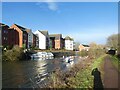 Canoeists on Exeter Canal