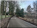 Munstead Heath Road towards Munstead Heath