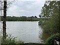 Flooded gravel pit with Rudheath Woods beyond