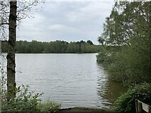 SJ7370 : Flooded gravel pit with Rudheath Woods beyond by Jonathan Hutchins