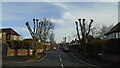 Looking from Bell Hill into Woodbury Avenue