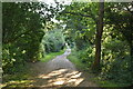 TQ5645 : Eden Valley Path, Haysden Country Park by N Chadwick