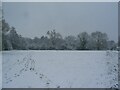 Tutbury field in the snow