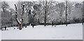 Winter in Moseley Park & Pool