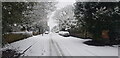 Anderton Park Road in Snow