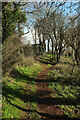 Path in Hoyle Copse