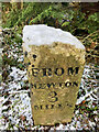 Old Milestone, Ashburton Rd, A 383