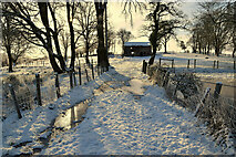 H4269 : Snow, Creevangar by Kenneth  Allen