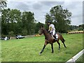 ST8899 : Harry Meade and Mosstown Prince at Gatcombe by Jonathan Hutchins