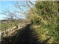 NY9360 : Byway from Hill Road to Dipton Mill by Oliver Dixon