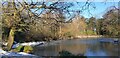 Pond at Lakeside, Enfield