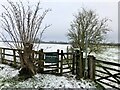 Gate on the footpath to Stony Stratford