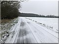 Slippery road to Lillingstone Lovell