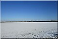 Snow covered field off Sands Lane