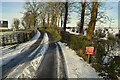 Snow and ice along Whitehill Road