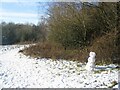 Canley Ford, brook meadow