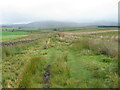 Southern Upland Way at Sanquhar Moor