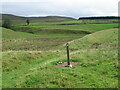 Southern Upland Way near Loch Burn