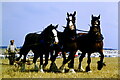 Great Dorset Steam Fair, Tarrant Hinton 1989