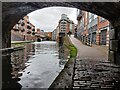 Under the St. Vincent Street Bridge