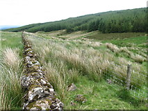 NS2554 : Wall along North Burn below Sheep Hill by Chris Wimbush