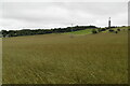 TR1639 : Pylon near Etchinghill by N Chadwick