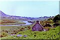 Ruined cottage near Helmsdale, 1983