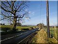NS5653 : Humbie Road at Castlehill Farm by Alec MacKinnon