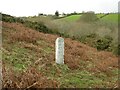 Old Boundary Marker on Caradon Hill